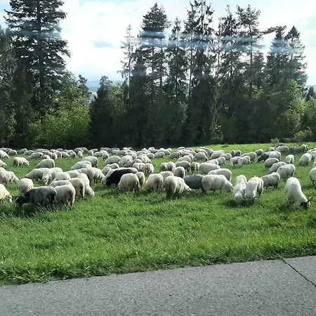 Krasna Semesterbostad *